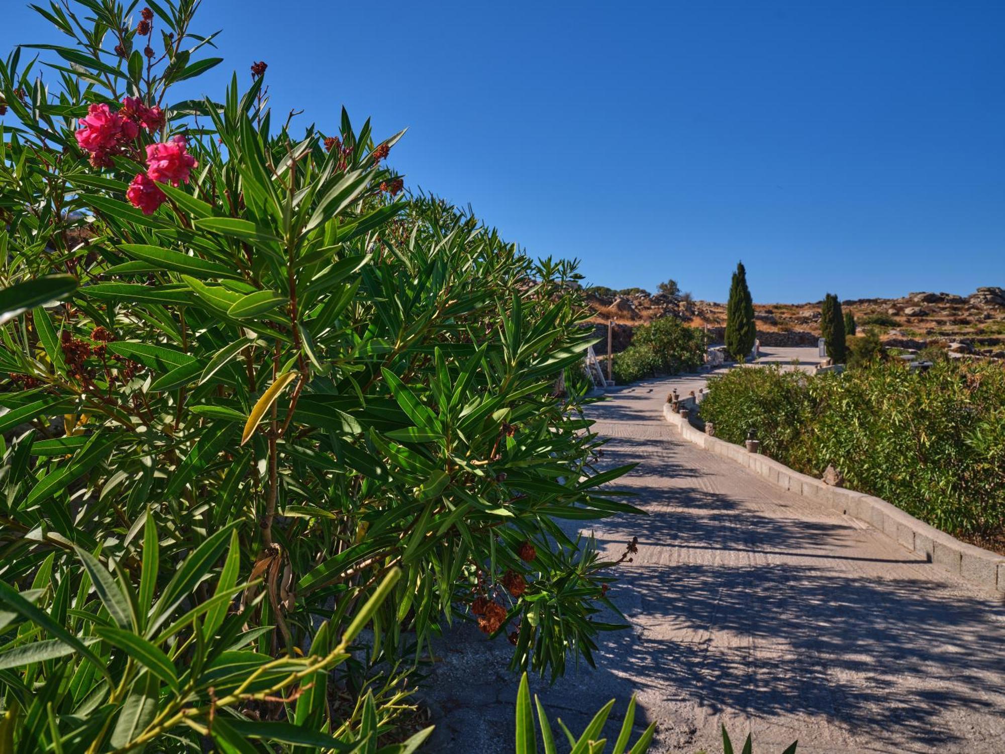 Villa Stella, Lefkes  Exterior foto